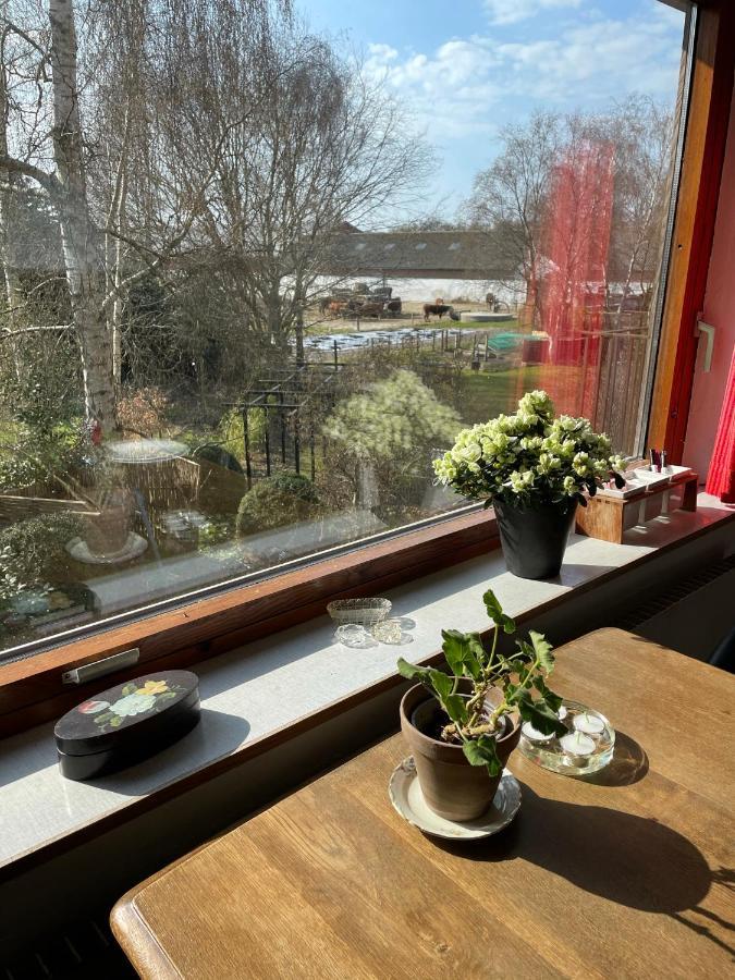 Retro Bolig - Fyldt Med Hygge! Ingen Luksus Διαμέρισμα Kolind Εξωτερικό φωτογραφία
